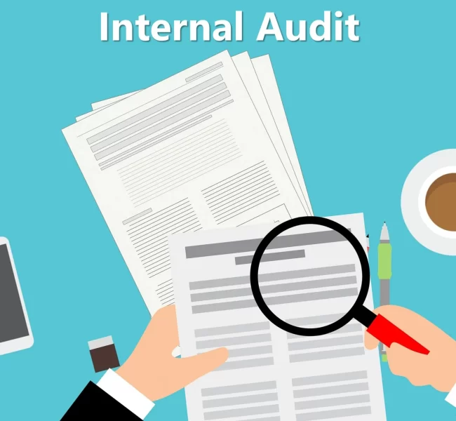 internal-audit-scaled